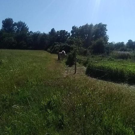 Maison Individuelle 5 Couchages Dans Ferme Equestre Aups Esterno foto