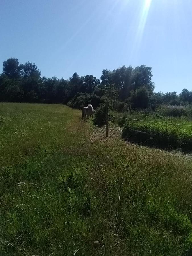 Maison Individuelle 5 Couchages Dans Ferme Equestre Aups Esterno foto